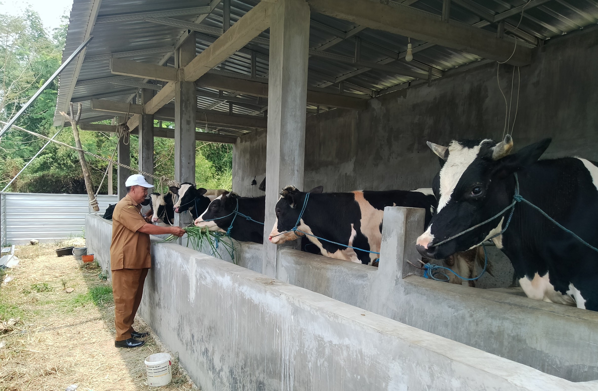 Img 20240923 113153~2 Copy 2361x1545