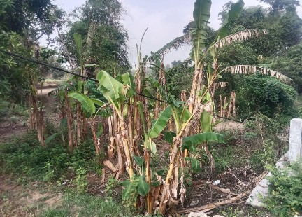 Screenshot 20231207 064212 Copy 432x310